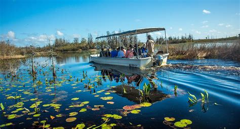 Okefenokee Swamp - WorldAtlas