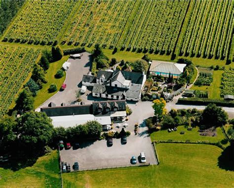 Llanerch Vinyard – Grown In Wales