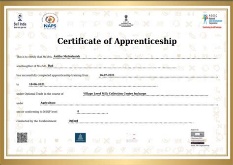 Free National Apprenticeship Certificate | Apprenticeship Mela by ...