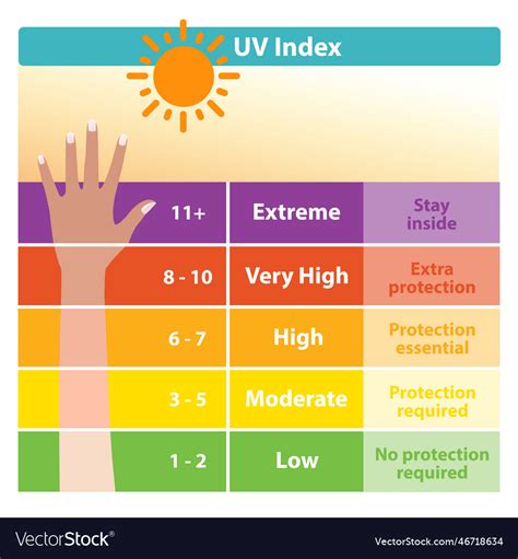 Uv index chart with tanned skin Royalty Free Vector Image