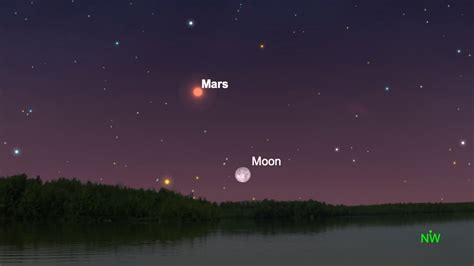 Watch the Cold Moon rise tonight, the last full moon of 2022 | Space