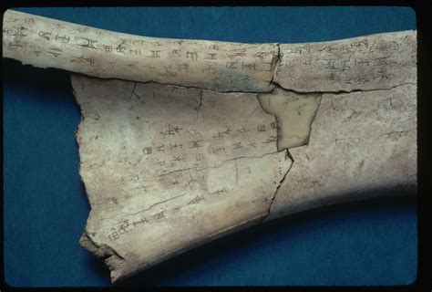 Oracle Bones: Predicting the Future in Shang, China