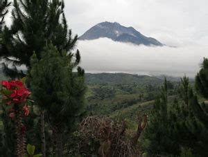 Mount Apo Mountain Information