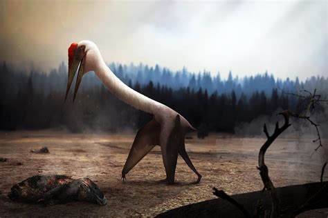 Quetzalcoatlus, the largest flying animal of all time | Earth Archives