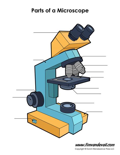 Microscope Diagram Labeled, Unlabeled and Blank | Parts of a Microscope