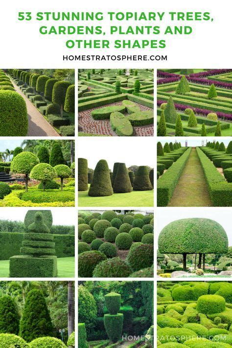 53 Stunning Topiary Trees, Gardens, Plants and Other Shapes | Outdoor ...