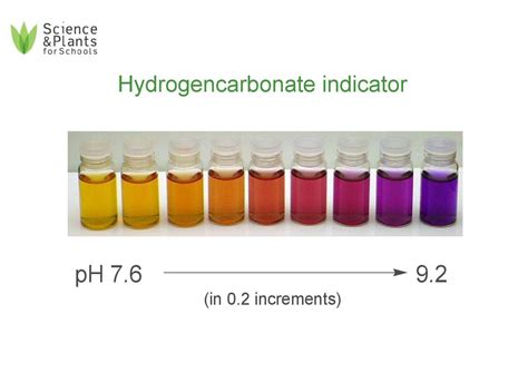 Bicarbonate Indicator Colour Chart: A Visual Reference of Charts ...