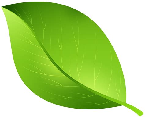 Green Leaf Transparent PNG Clip Art Image | Gallery Yopriceville - High ...