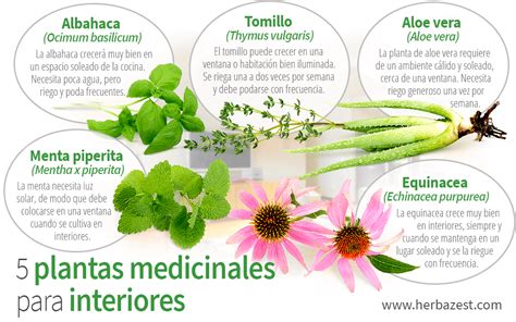 Polgári kábel igény definicion de las plantas medicinales ó, drágám ...