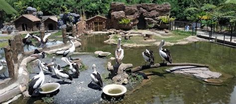 Lembang Park and Zoo, Keseruan Liburan Bersama Keluarga