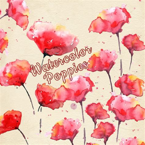 Watercolor Poppies Clipart – MasterBundles