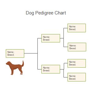 Pedigree Chart Templates | EdrawMax Free Editable