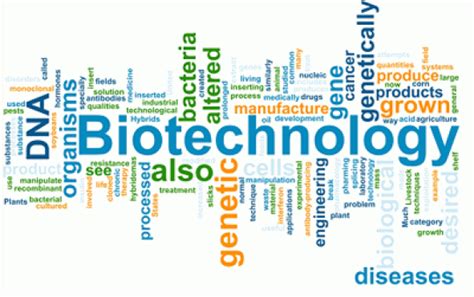 10 Best Biotechnology Companies to Work For