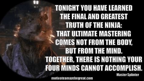 45 Master Splinter Quotes For Wisdom And Inspiration - Motivate Amaze ...