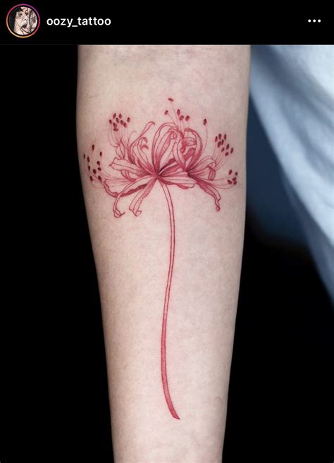 上 red spider lily tattoo 332412-Red spider lily tattoo