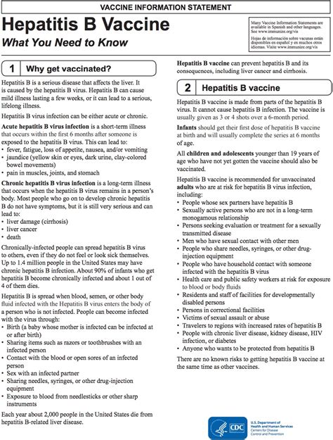 How Does Hepatitis B Vaccine Work In The Body - MymagesVertical