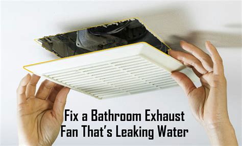 Fix A Bathroom Exhaust Fan That's Leaking Water: 5 Easy Steps