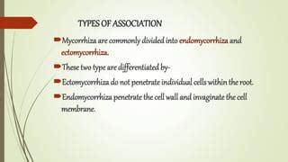 mycorrhiza types, distribution and significance. | PPT