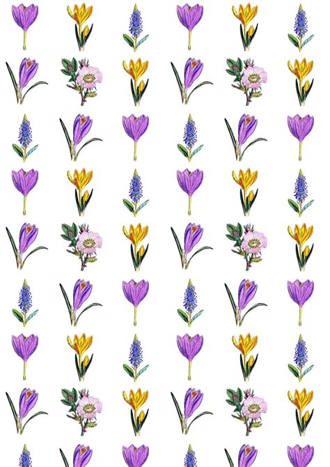 Free digital floral scrapbooking paper - ausdruckbares Geschenkpapier ...