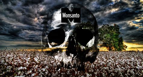 Bowing to Monsanto, USDA Approves New GMO Soy and Cotton Crops