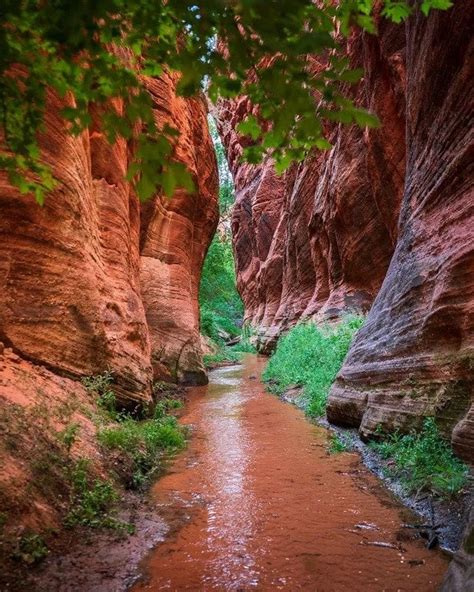 🔥 Slot Canyon, Zion National Park, Utah. : NatureIsFuckingLit