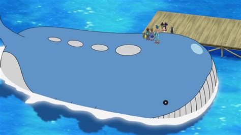 Wailord | Pooh's Adventures Wiki | FANDOM powered by Wikia