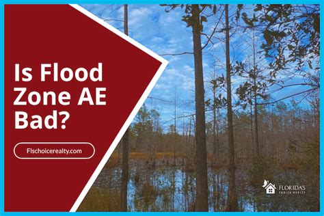 Is Flood Zone AE Bad? - Florida's Choice Realty