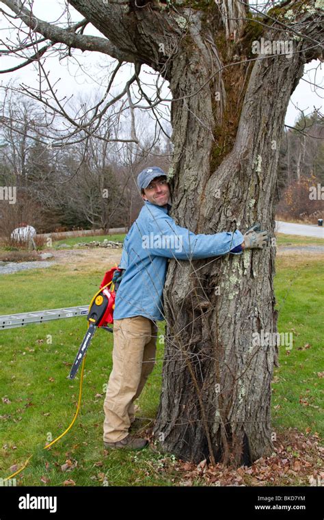 Chainsaw Funny Stock Photos & Chainsaw Funny Stock Images - Alamy