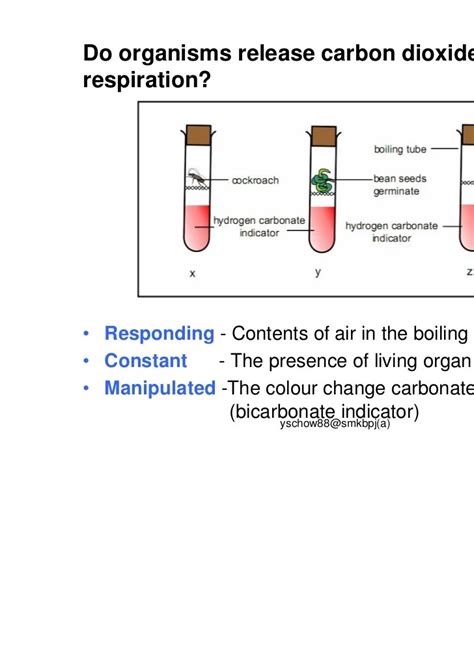 Hydrogen Carbonate Indicator Colour Change