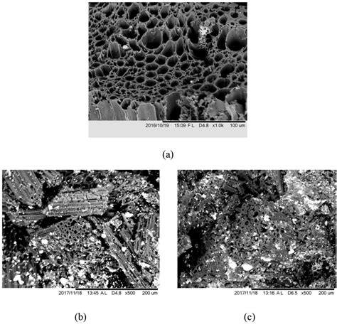 The morphology of activated carbon: (a) before adsorption; (b) after ...