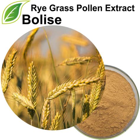 Buy Rye Grass Pollen Extract -Price,Supplier,Manufacturer from Bolise