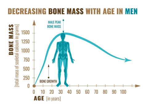 Bone Density - Green Imaging - Affordable MRIs, CT Scan, Mammogram