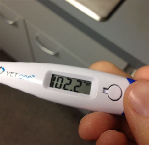 Thermometer Fever