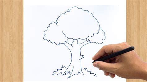 How to Draw a Tree Sketch Easy | The Best Tree Drawing Ever Drawn For ...