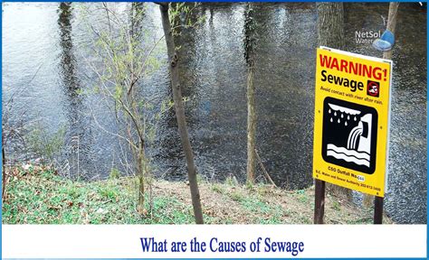 What are the causes of sewage