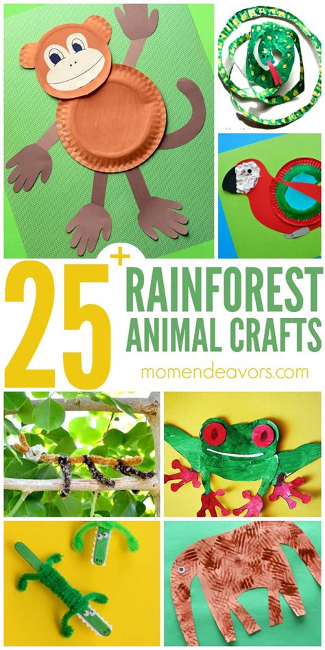 25+ Rainforest Animal Crafts for Kids