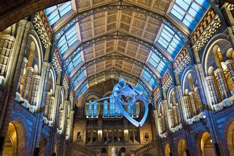 7 Things to See and Do at London's Natural History Museum | PlanetWare