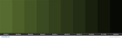 Shades of Dark Olive Green #556B2F hex color | Pantone green shades ...