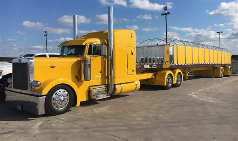 Mark Franzoy’s 1992 Peterbilt 379 and matching Wilson flatbed | Overdrive