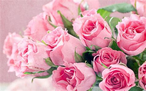 Fresh Flowers Bouquet Of Pink Roses Hd Desktop Backgrounds Free ...