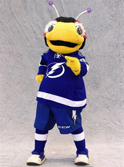 Ranking the NHL's Mascots | Mascot, Lightning hockey, Tampa bay ...