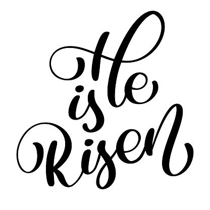 He Is Risen Text On White Background Calligraphy Lettering Vector ...