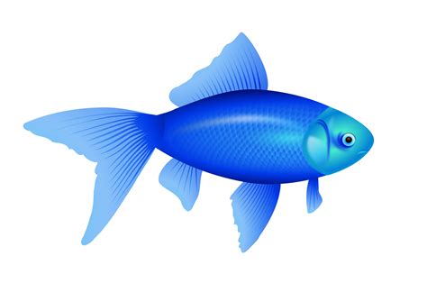 Fish Clip art - blue fish PNG image png download - 1969*1307 - Free ...