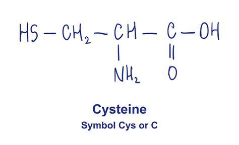 Cysteine Chemical Structure Vector Illustration Hand Drawn Stock ...