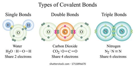 Double Covalent Bond