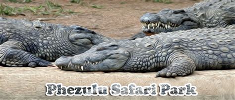 "Phezulu Safari #Park" one of the most visited #safari park in #Durban ...