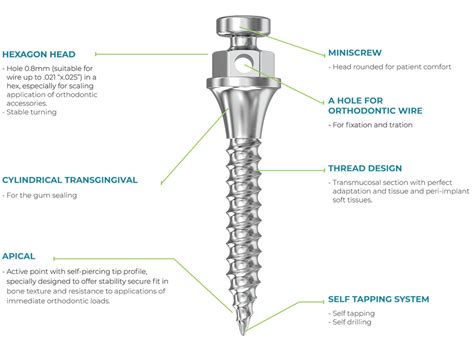 Orthodontic Buccal Shelf Micro-Implants (TADs)