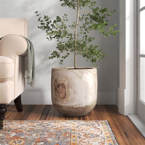 Large Indoor Plant Pots - Foter