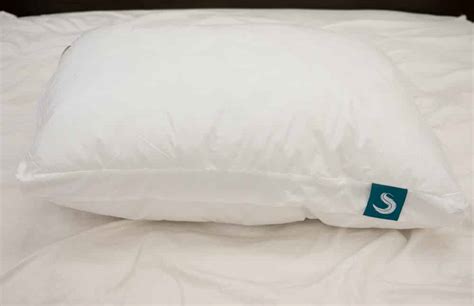 Sleepgram Pillow Review (2024) Top Qualities! | Sleepopolis