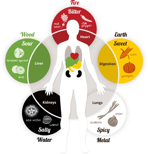 Tcm Bitter Foods List - Foods Details